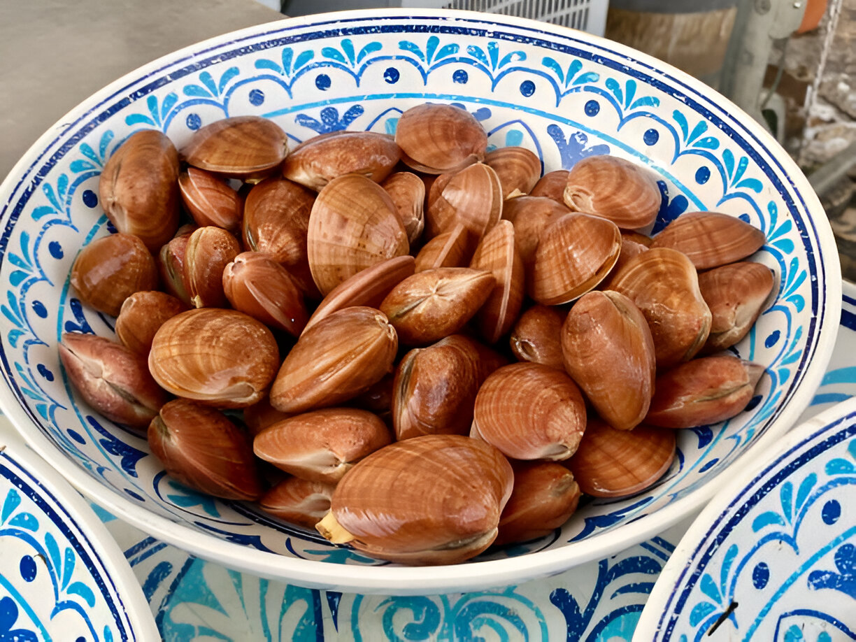 A bowl filled with fresh clams on a decorative plate.
